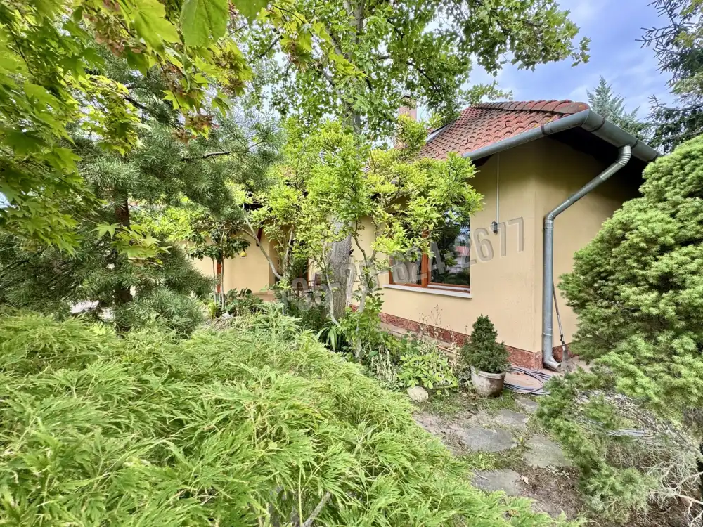 Pest megye - Vác